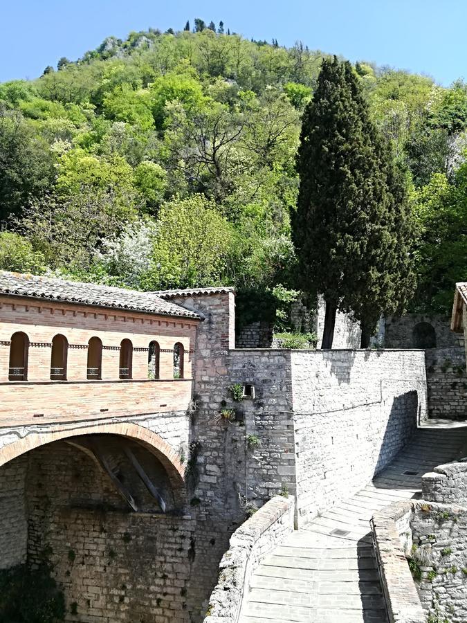 Civico 10 Gubbio Exterior foto